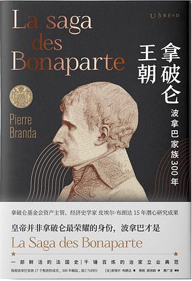 拿破仑王朝：波拿巴家族300年pdf+mobi+epub电子书下载!